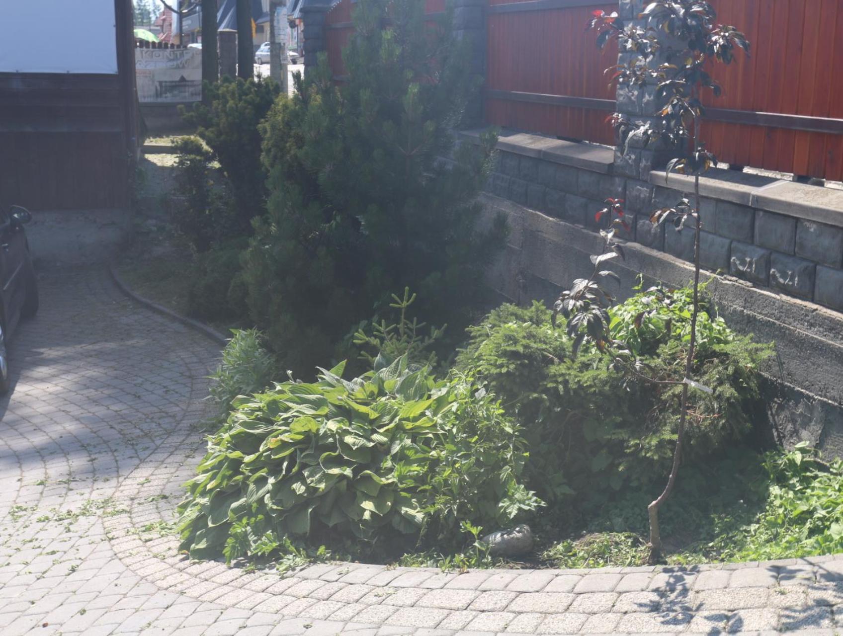 Smyrecek-Centrum Bukowiny Bukowina Tatrzańska Exterior foto