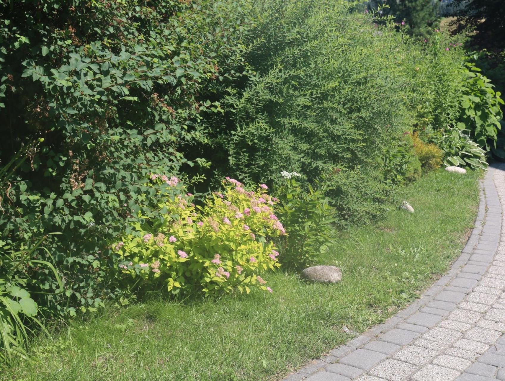 Smyrecek-Centrum Bukowiny Bukowina Tatrzańska Exterior foto